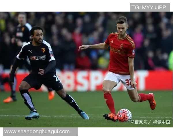 亚冠华尔斯与艾纳斯对决深度分析及比赛前瞻解析